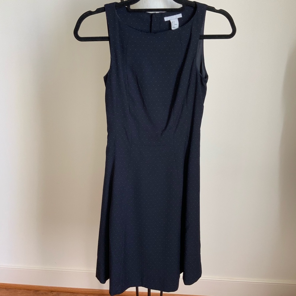 H&M Fit and Flare Polka Dot Dress 4 34